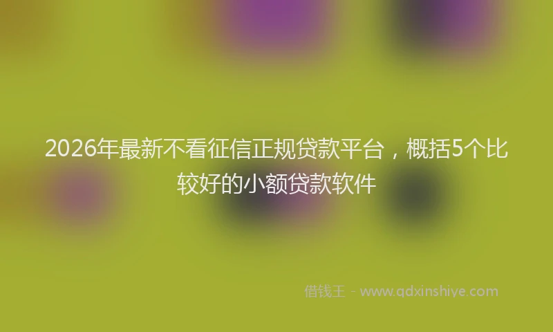 2026年最新不看征信正规贷款平台，概括5个比较好的小额贷款软件