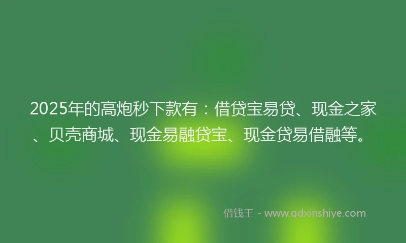 2025年的高炮秒下款有:借贷宝易贷、现金之家、贝壳商城、现金易融贷宝、现金贷易借融等。