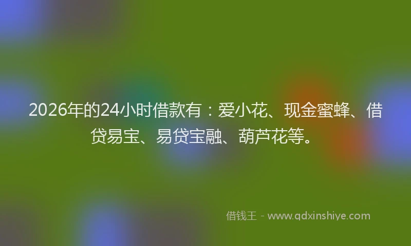 2026年的24小时借款有：爱小花、现金蜜蜂、借贷易宝、易贷宝融、葫芦花等。