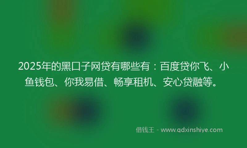 2025年的黑口子网贷有哪些有：百度贷你飞、小鱼钱包、你我易借、畅享租机、安心贷融等。
