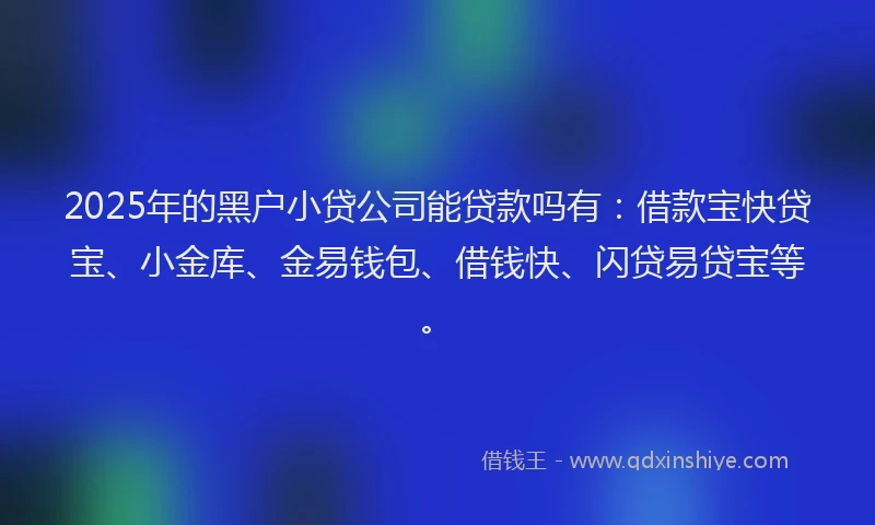 2025年的黑户小贷公司能贷款吗有：借款宝快贷宝、小金库、金易钱包、借钱快、闪贷易贷宝等。