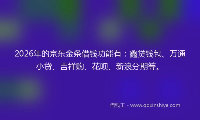 2026年的京东金条借钱功能有:鑫贷钱包、万通小贷、吉祥购、花呗、新浪分期等。