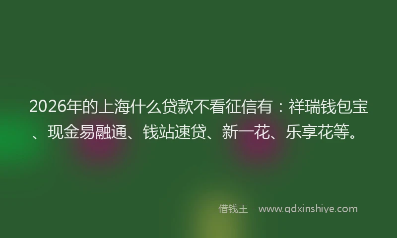 2026年的上海什么贷款不看征信有:祥瑞钱包宝、现金易融通、钱站速贷、新一花、乐享花等。
