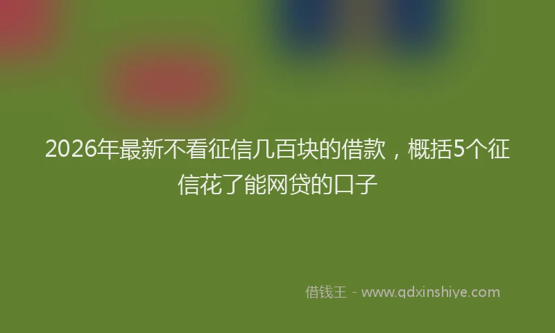 2026年最新不看征信几百块的借款,概括5个征信花了能网贷的口子