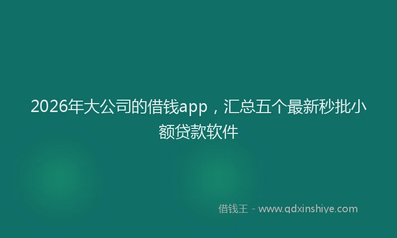 2026年大公司的借钱app，汇总五个最新秒批小额贷款软件