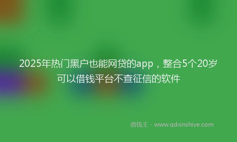 2025年热门黑户也能网贷的app,整合5个20岁可以借钱平台不查征信的软件