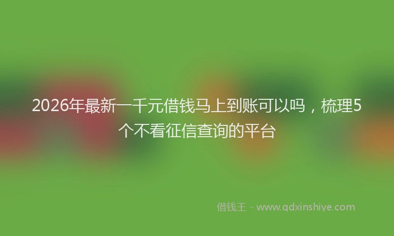 2026年最新一千元借钱马上到账可以吗，梳理5个不看征信查询的平台