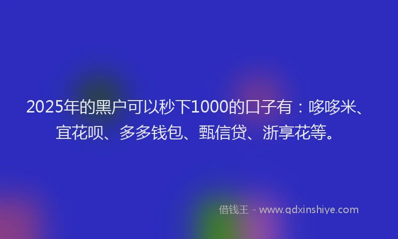 2025年的黑户可以秒下1000的口子有:哆哆米、宜花呗、多多钱包、甄信贷、浙享花等。