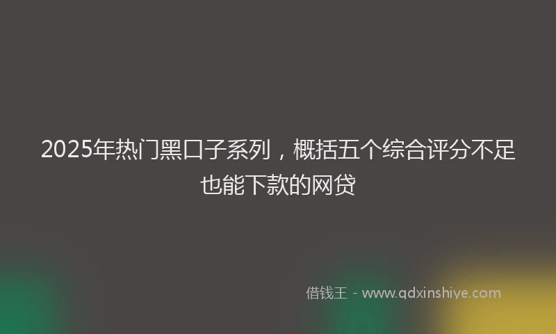 2025年热门黑口子系列，概括五个综合评分不足也能下款的网贷