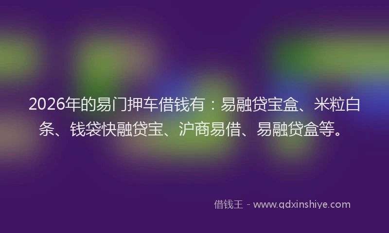 2026年的易门押车借钱有：易融贷宝盒、米粒白条、钱袋快融贷宝、沪商易借、易融贷盒等。