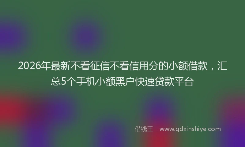 2026年最新不看征信不看信用分的小额借款,汇总5个手机小额黑户快速贷款平台