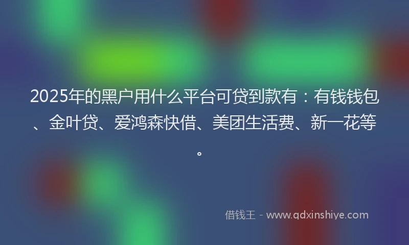 2025年的黑户用什么平台可贷到款有:有钱钱包、金叶贷、爱鸿森快借、美团生活费、新一花等。