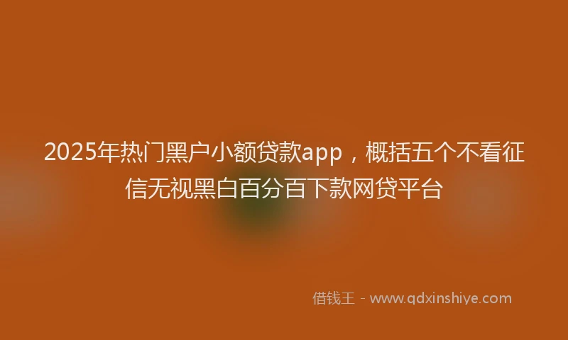 2025年热门黑户小额贷款app,概括五个不看征信无视黑白百分百下款网贷平台