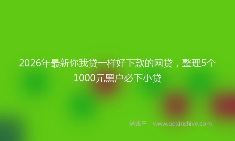 2026年最新你我贷一样好下款的网贷，整理5个1000元黑户必下小贷