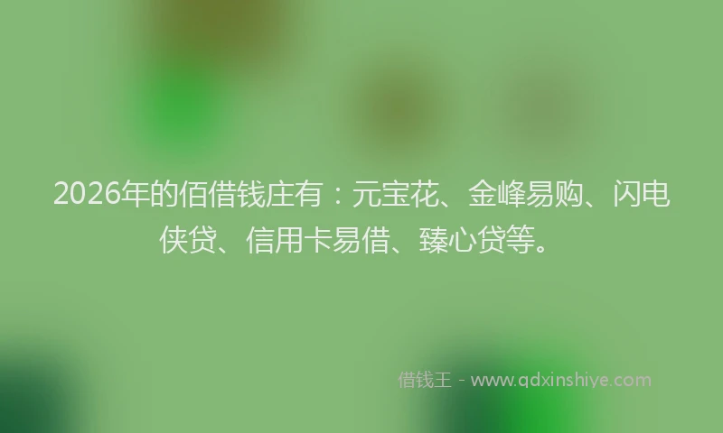 2026年的佰借钱庄有：元宝花、金峰易购、闪电侠贷、信用卡易借、臻心贷等。