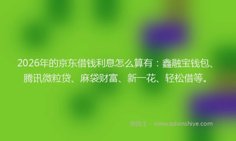 2026年的京东借钱利息怎么算有:鑫融宝钱包、腾讯微粒贷、麻袋财富、新一花、轻松借等。