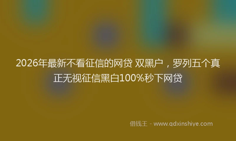 2026年最新不看征信的网贷 双黑户，罗列五个真正无视征信黑白100%秒下网贷