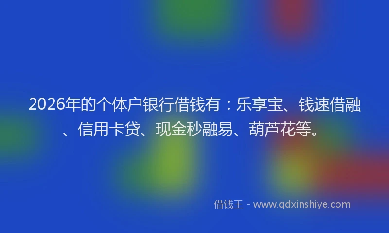 2026年的个体户银行借钱有：乐享宝、钱速借融、信用卡贷、现金秒融易、葫芦花等。