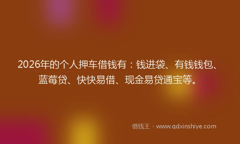 2026年的个人押车借钱有：钱进袋、有钱钱包、蓝莓贷、快快易借、现金易贷通宝等。