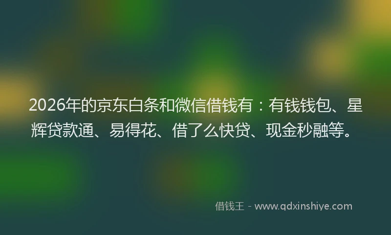 2026年的京东白条和微信借钱有:有钱钱包、星辉贷款通、易得花、借了么快贷、现金秒融等。