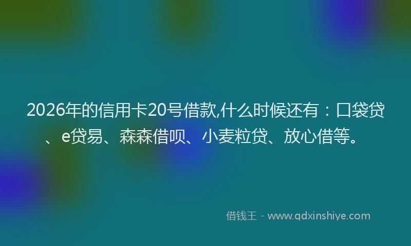 2026年的信用卡20号借款,什么时候还有：口袋贷、e贷易、森森借呗、小麦粒贷、放心借等。