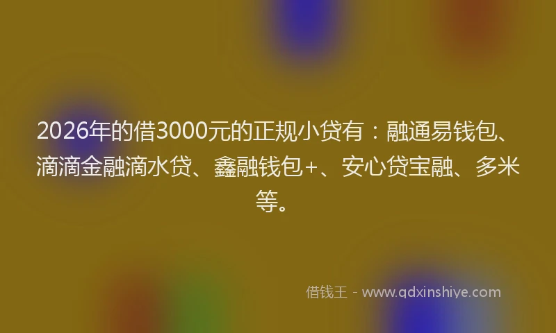 2026年的借3000元的正规小贷有：融通易钱包、滴滴金融滴水贷、鑫融钱包+、安心贷宝融、多米等。