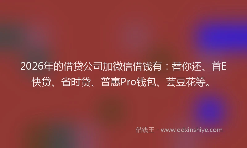 2026年的借贷公司加微信借钱有：替你还、首E快贷、省时贷、普惠Pro钱包、芸豆花等。