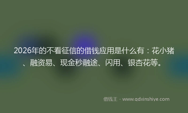 2026年的不看征信的借钱应用是什么有：花小猪、融资易、现金秒融途、闪用、银杏花等。