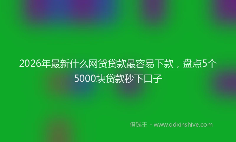 2026年最新什么网贷贷款最容易下款，盘点5个5000块贷款秒下口子