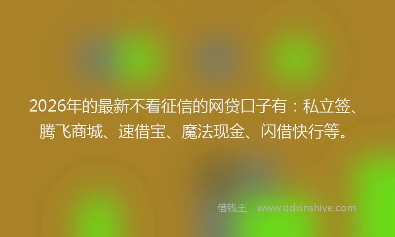 2026年的最新不看征信的网贷口子有:私立签、腾飞商城、速借宝、魔法现金、闪借快行等。