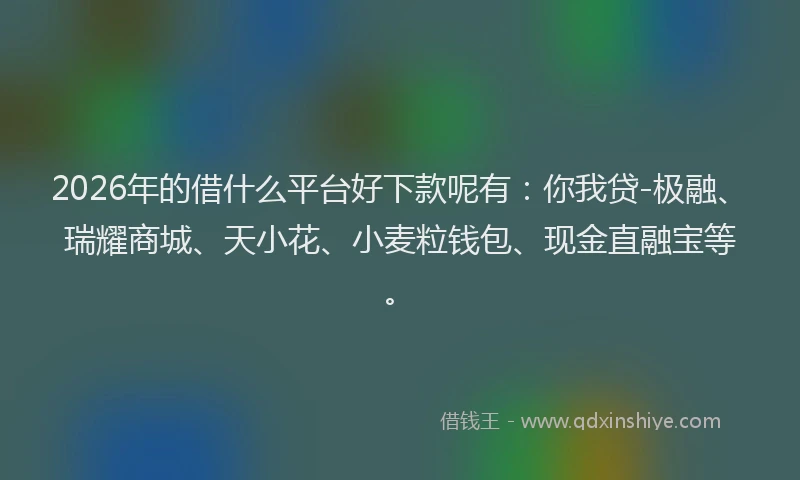 2026年的借什么平台好下款呢有：你我贷-极融、瑞耀商城、天小花、小麦粒钱包、现金直融宝等。