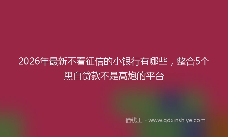 2026年最新不看征信的小银行有哪些，整合5个黑白贷款不是高炮的平台