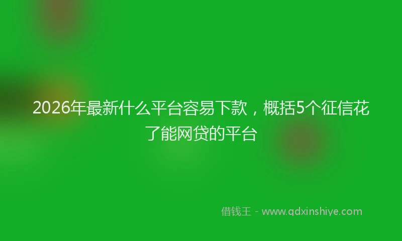 2026年最新什么平台容易下款，概括5个征信花了能网贷的平台