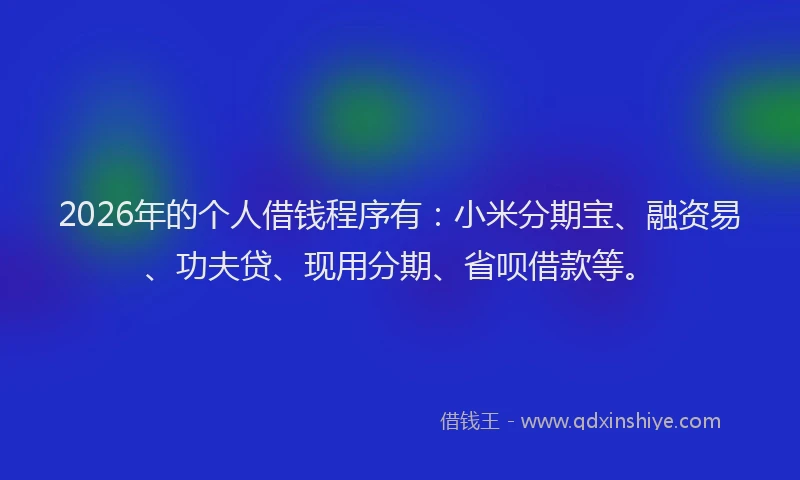 2026年的个人借钱程序有:小米分期宝、融资易、功夫贷、现用分期、省呗借款等。