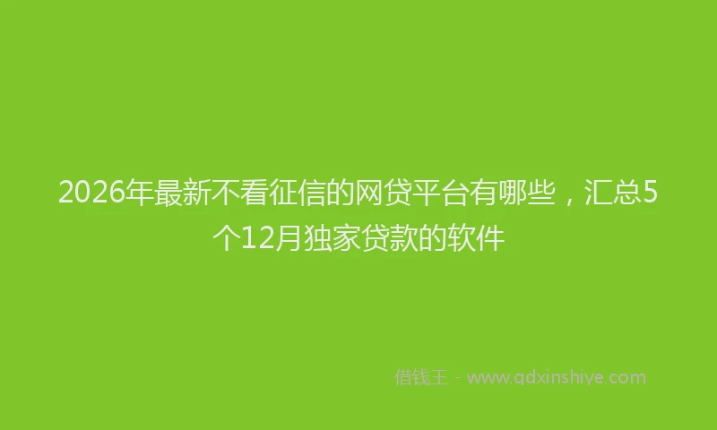 2026年最新不看征信的网贷平台有哪些，汇总5个12月独家贷款的软件