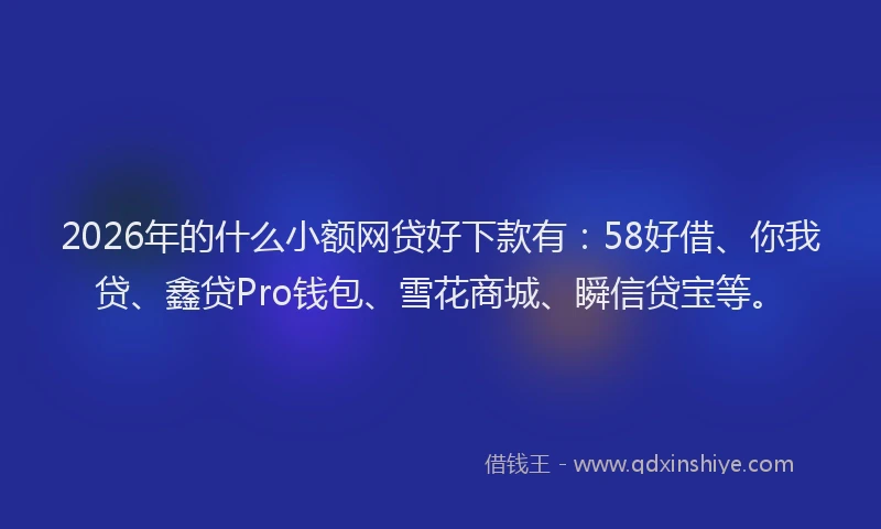 2026年的什么小额网贷好下款有：58好借、你我贷、鑫贷Pro钱包、雪花商城、瞬信贷宝等。