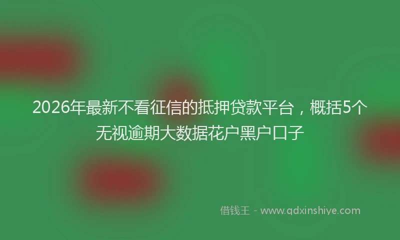 2026年最新不看征信的抵押贷款平台,概括5个无视逾期大数据花户黑户口子
