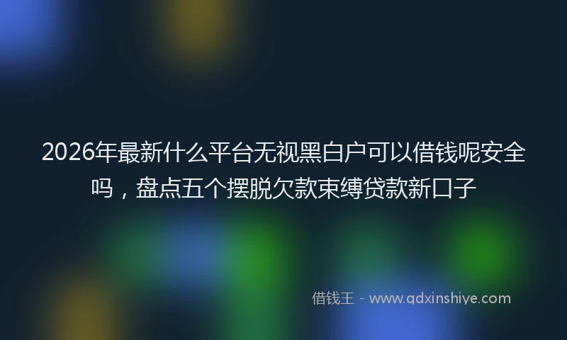 2026年最新什么平台无视黑白户可以借钱呢安全吗，盘点五个摆脱欠款束缚贷款新口子