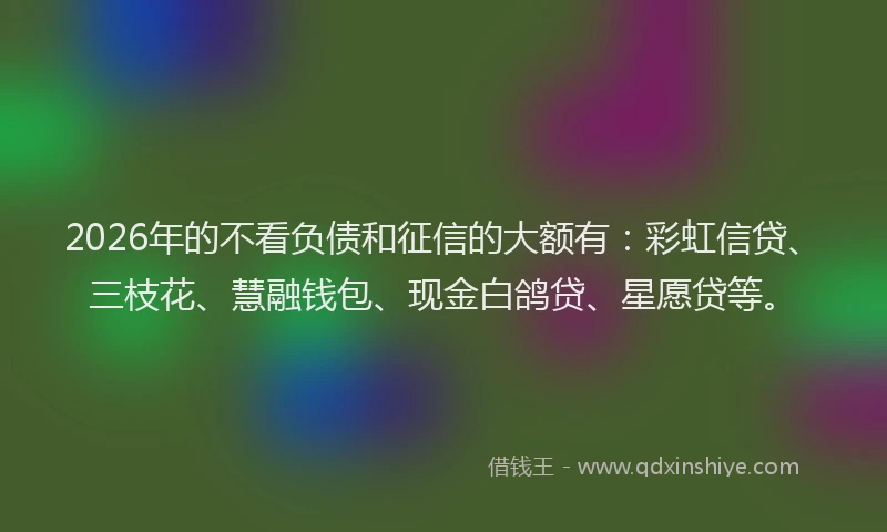 2026年的不看负债和征信的大额有：彩虹信贷、三枝花、慧融钱包、现金白鸽贷、星愿贷等。