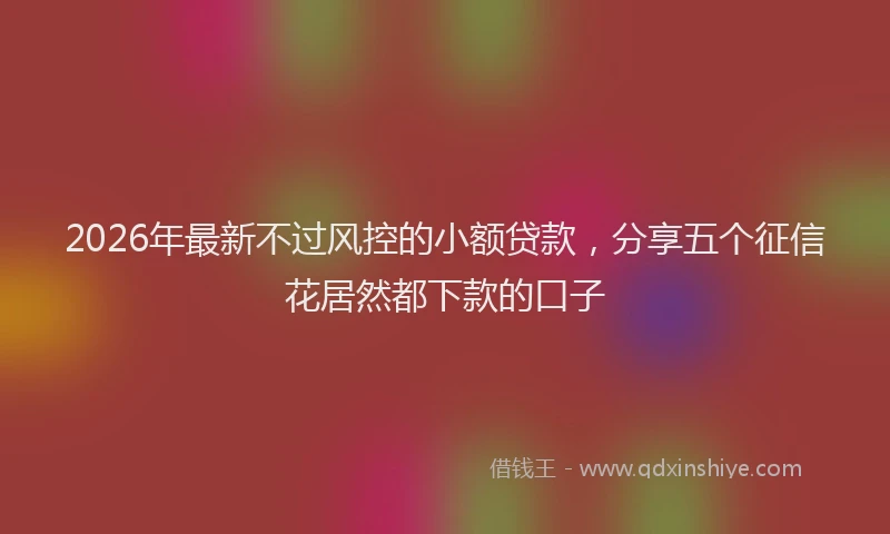 2026年最新不过风控的小额贷款，分享五个征信花居然都下款的口子