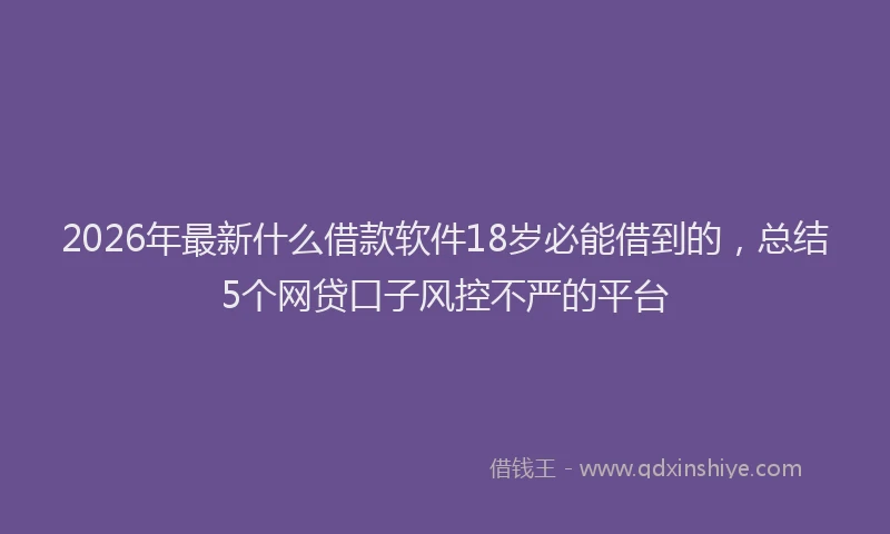 2026年最新什么借款软件18岁必能借到的，总结5个网贷口子风控不严的平台