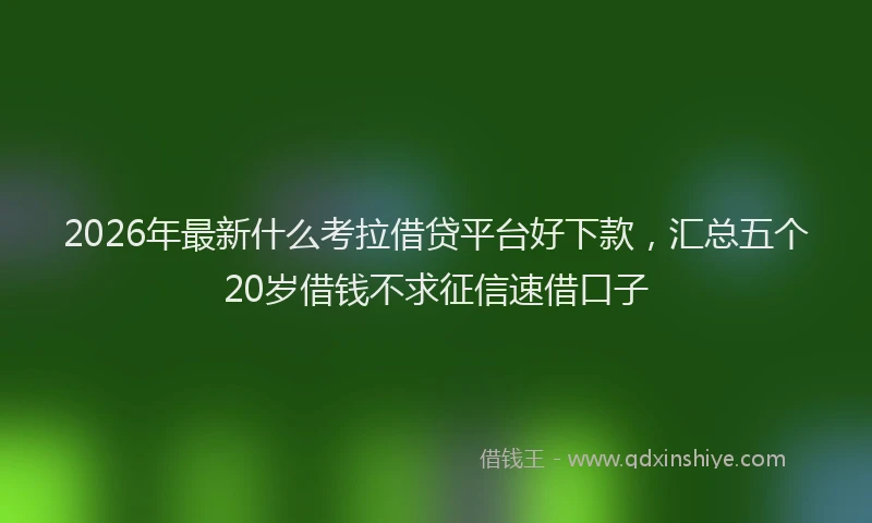 2026年最新什么考拉借贷平台好下款,汇总五个20岁借钱不求征信速借口子