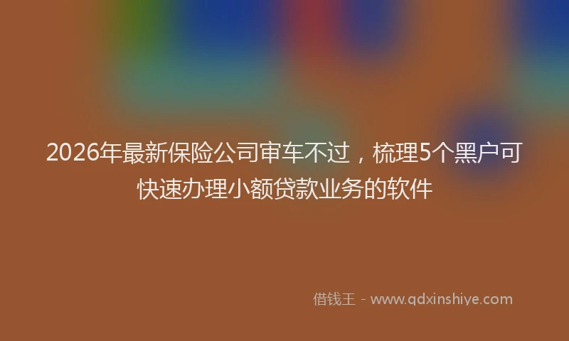 2026年最新保险公司审车不过，梳理5个黑户可快速办理小额贷款业务的软件