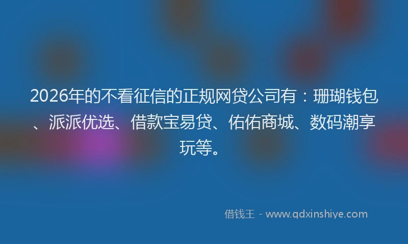 2026年的不看征信的正规网贷公司有：珊瑚钱包、派派优选、借款宝易贷、佑佑商城、数码潮享玩等。