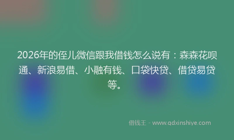 2026年的侄儿微信跟我借钱怎么说有:森森花呗通、新浪易借、小融有钱、口袋快贷、借贷易贷等。