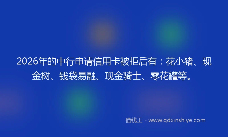 2026年的中行申请信用卡被拒后有：花小猪、现金树、钱袋易融、现金骑士、零花罐等。