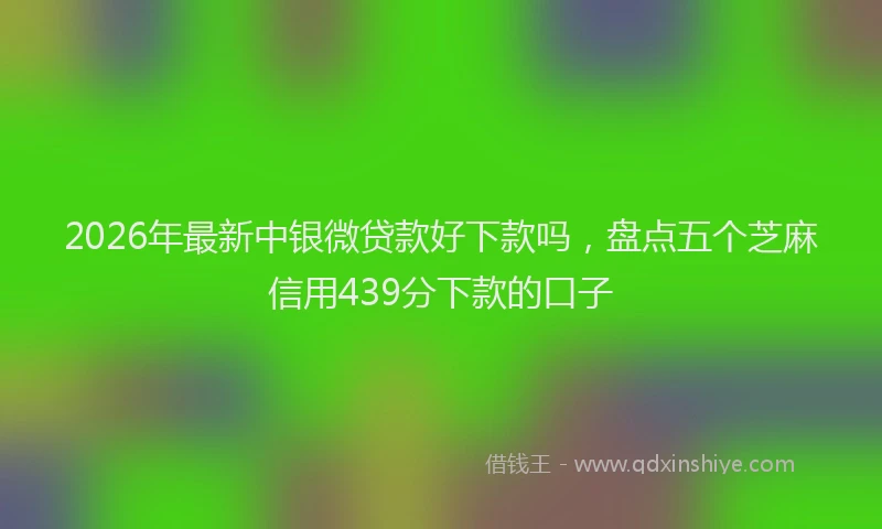 2026年最新中银微贷款好下款吗，盘点五个芝麻信用439分下款的口子