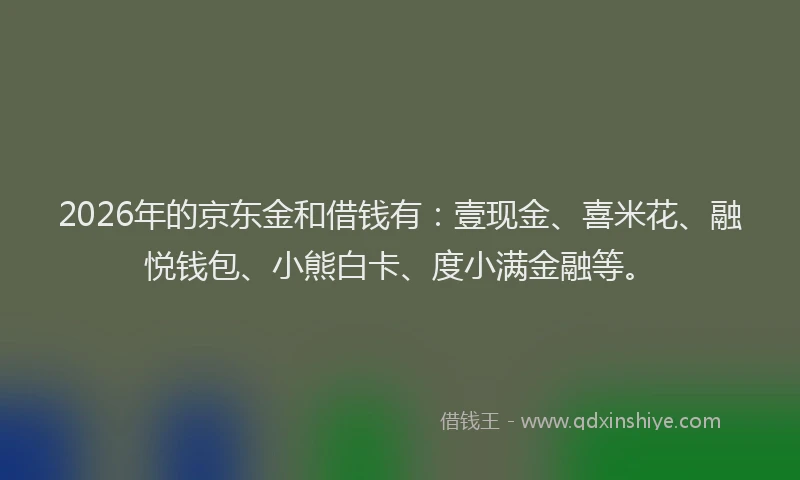 2026年的京东金和借钱有：壹现金、喜米花、融悦钱包、小熊白卡、度小满金融等。
