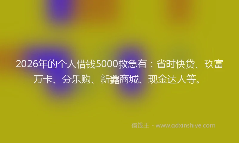 2026年的个人借钱5000救急有:省时快贷、玖富万卡、分乐购、新鑫商城、现金达人等。