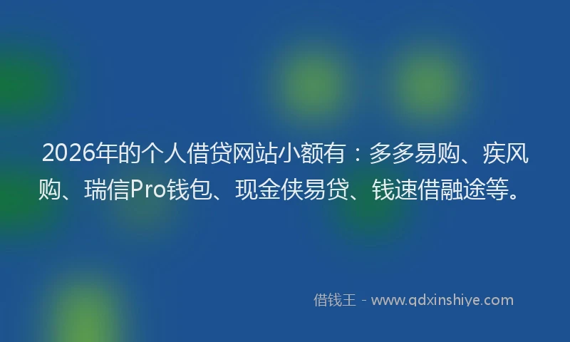 2026年的个人借贷网站小额有：多多易购、疾风购、瑞信Pro钱包、现金侠易贷、钱速借融途等。
